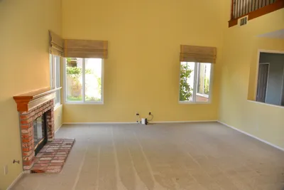 DSC_7348 (Large).JPG